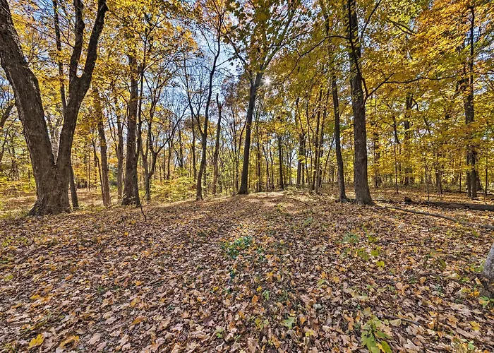 Haven In The Woods W/ 150 Acres, 2 Ponds Holiday home *