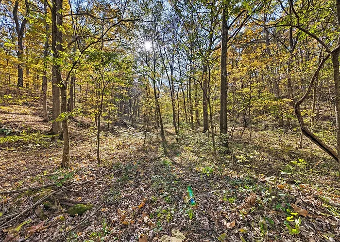 Haven In The Woods W/ 150 Acres, 2 Ponds * St Elmo