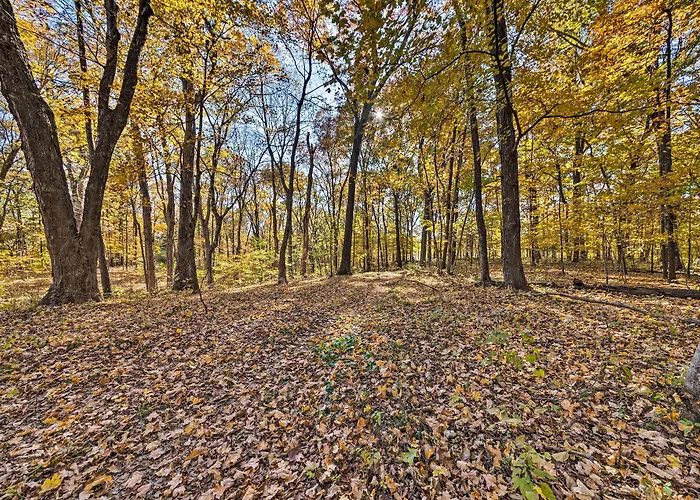 Haven In The Woods W/ 150 Acres, 2 Ponds St Elmo